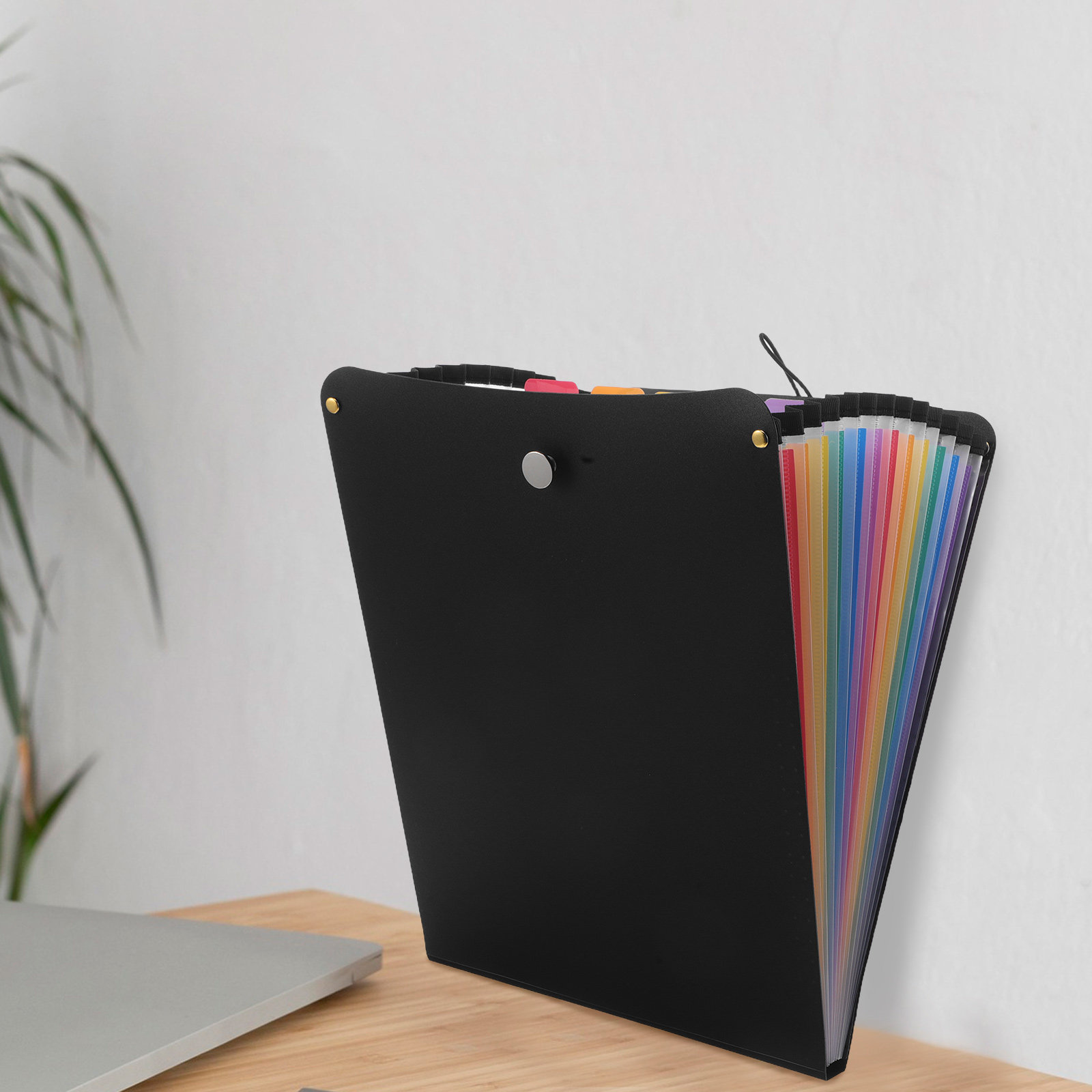 Папка-органайзер формата А4 с  – обзор и цена Expandable Accordion File Folder 13 Pockets